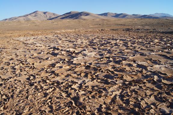 Dry lake in Chile's Atacama Desert, a Mars analog frequently visited by scientists interested in looking for signs of life on the Red Planet.