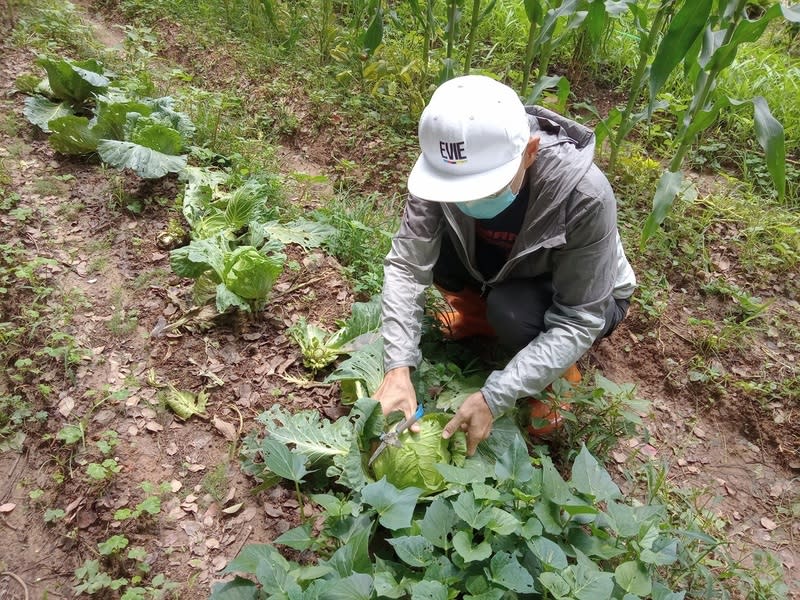 中市環保農園開放報名  抽30人免費承租5個月 台中市環保局在南屯區文山資源回收環境教育園區開 辦「環保農園」，台中市民可申請免費承租5個月， 將抽出30人，歡迎有興趣的民眾踴躍報名。 （台中市政府提供） 中央社記者郝雪卿傳真  113年6月18日 