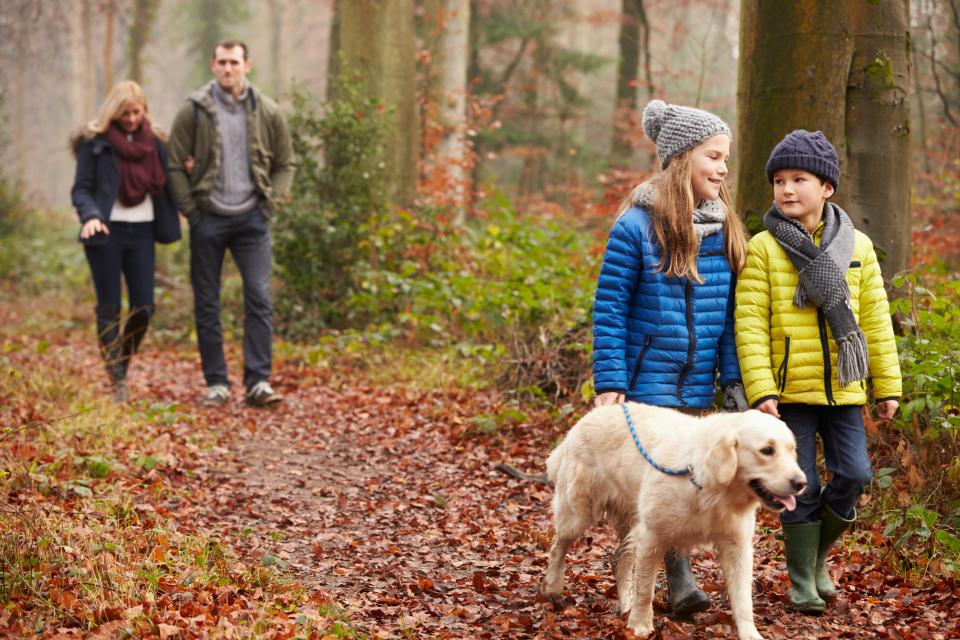 Une famille promène son chien dans la forêt en automne.