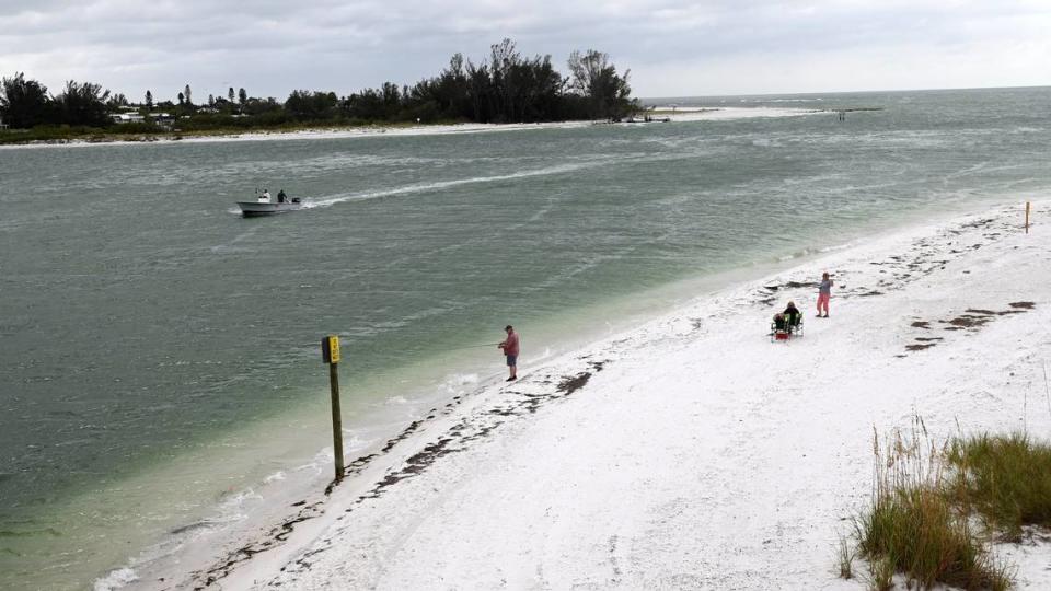 Medium concentration levels of Karenia brevis, the algae that causes red tide, were detected in water samples taken Monday by the Florida Fish and Wildlife Conservation Commission near Longboat Pass.