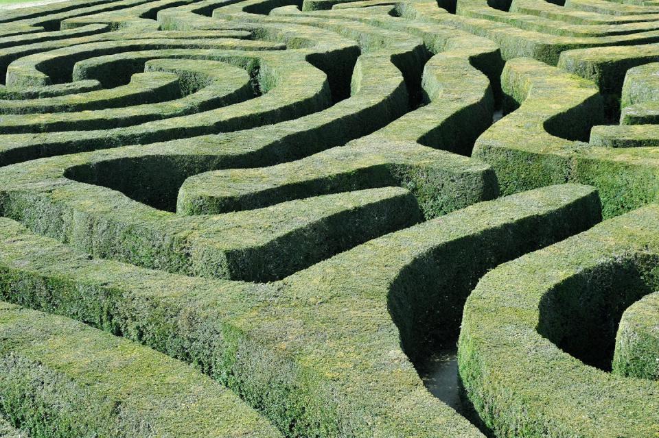 An overview of a maze of passages between shrubs.