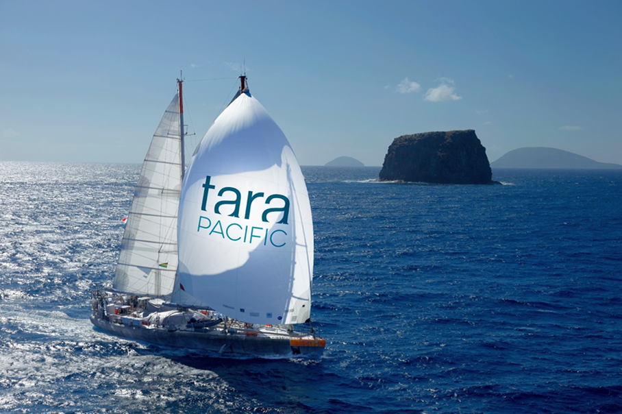 The Tara Ocean Foundation's schooner Tara.
