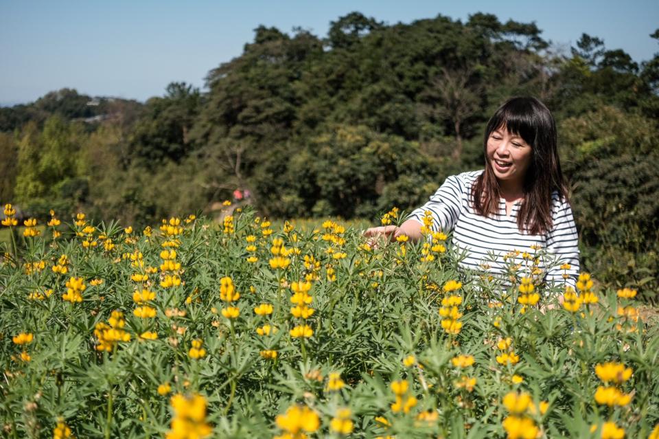 連假小走春！搭公車暢遊北市6處浪漫花海