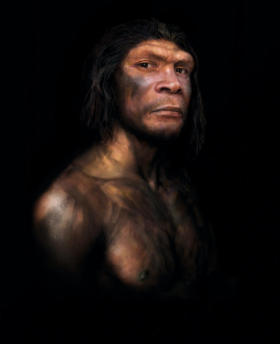 99,7% humano. Artista: Tom Björklund / Moesgård Museum, Author provided