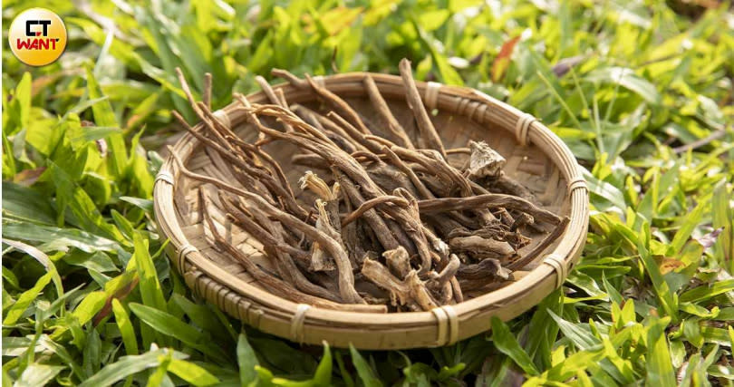 平埔大武壠族的傳統植物「雞腳刺」用在熬湯上異常清香美味。（圖／宋岱融攝）