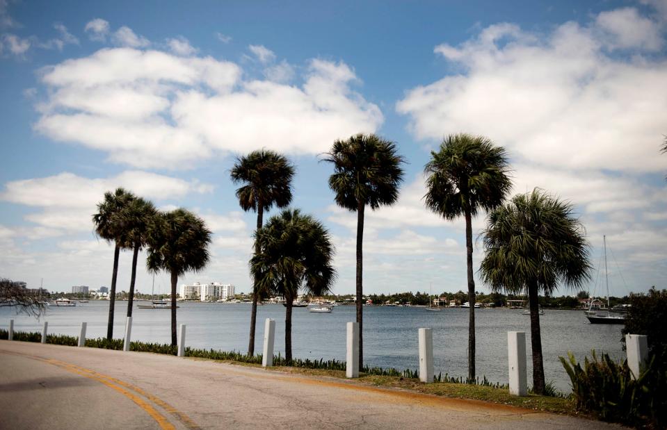 The Intracoastal shoreline along the North Lake Trail on the west side of the Palm Beach Country Club will be the location for a pilot project that is designed to ease erosion.