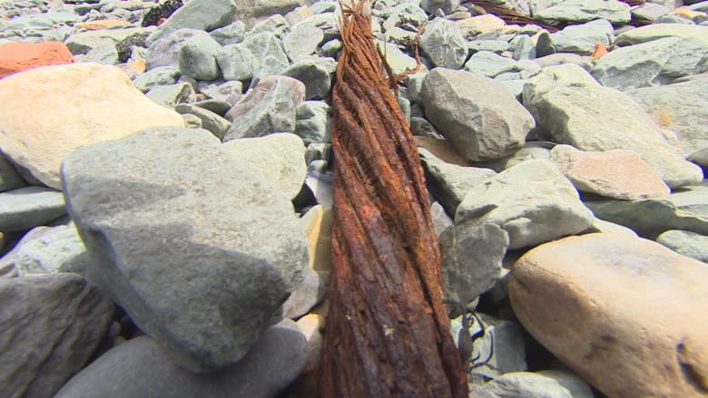 How one tiny N.L. town helped usher in the era of instant communication