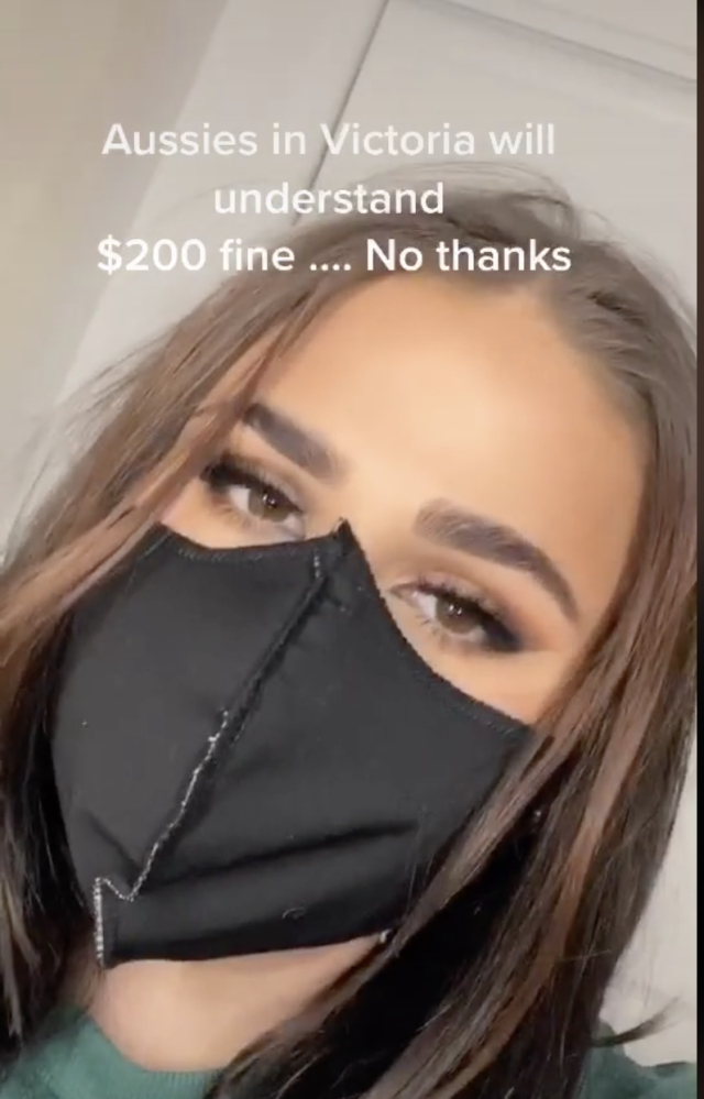 Face Mask TikTok Hack Review