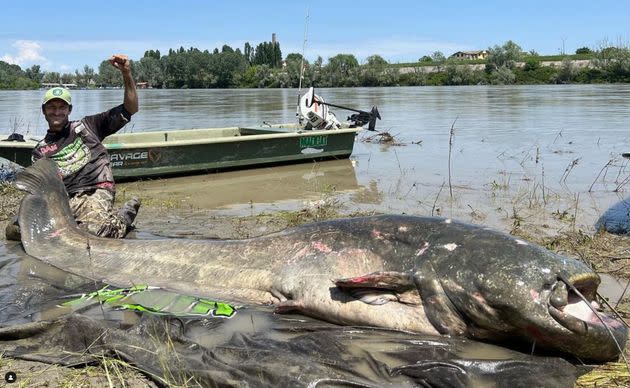 Alessandro Biancardi with a large catfish that he caught on the river Po in Italy.