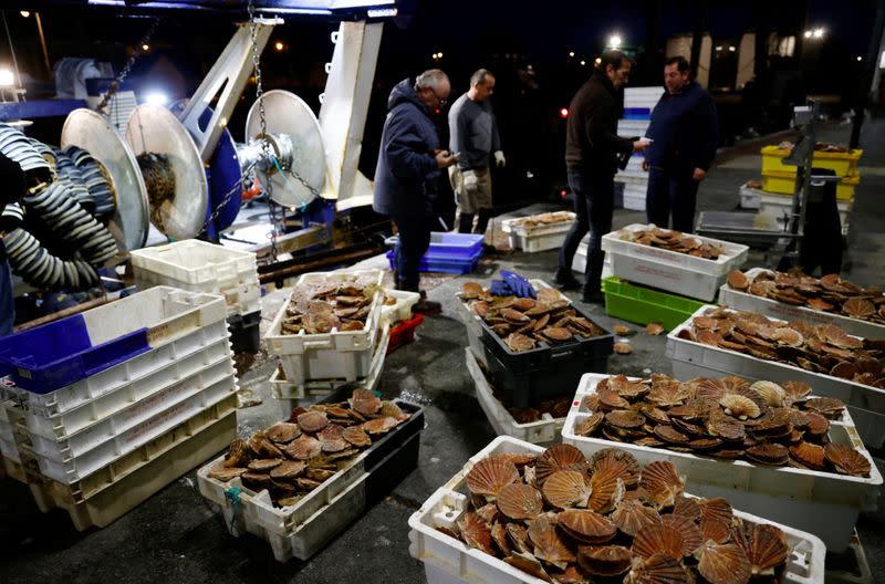 Fishermen unload box of scallops at the fishing port in Port-en-Bessin-Huppain