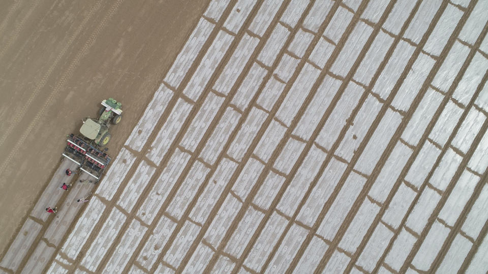 KUQA, CHINA - MARCH 26: Aerial view of a pilotless seeding machine sowing cotton seeds in a field on March 26, 2021 in Kuqa, Xinjiang Uygur Autonomous Region of China. (Photo by Yuan Huanhuan/VCG via Getty Images)