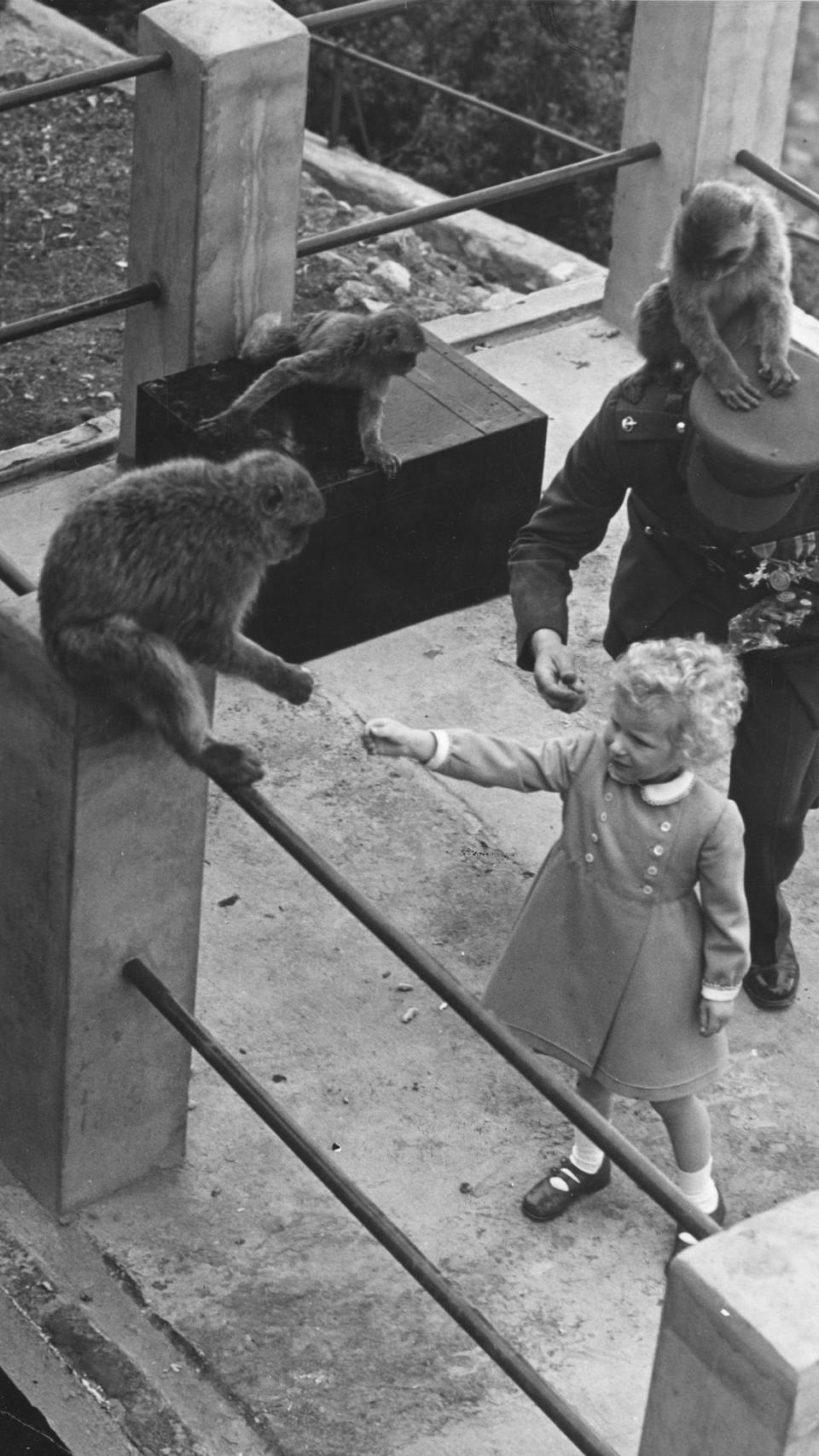 Princess Anne feeds monkeys in Gibraltar