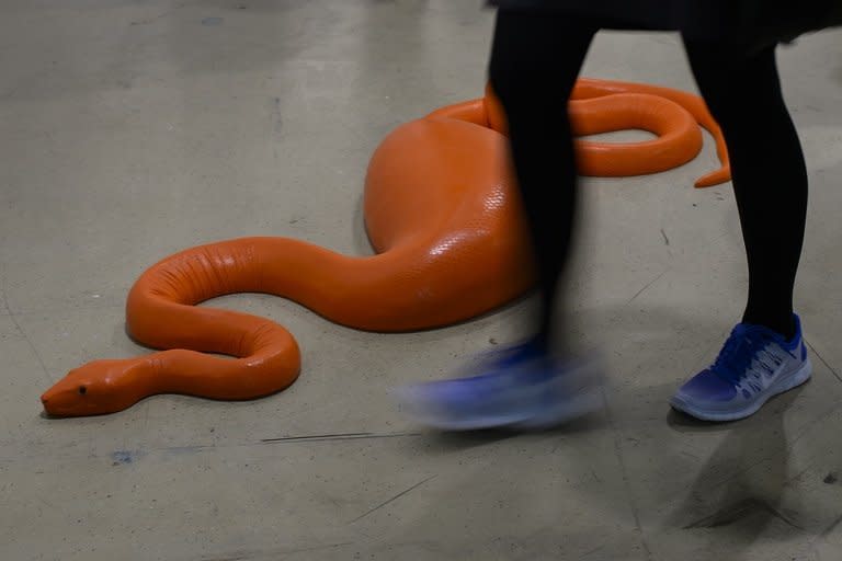 Carsten Hoeller's "Snake" is pictured during an Art Basel preview on June 11, 2013. Some 65,000 visitors are expected to come to Art Basel this year to see exhibits by a lucky 304 galleries