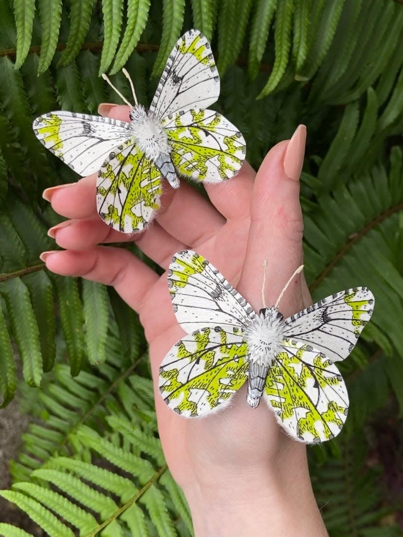 “You can’t own real specimens of endangered species, but by making them they are more accessible,” said paper taxidermy artist Stacia Baldwin. “There is an endangered moth that only lives on an island off Seattle, the Island Marble Butterfly, and is important to these ecosystems. Paper specimens are a way to learn about them. Nature is for everybody and needs to be accessible.”