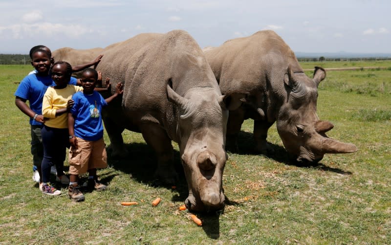 FILE PHOTO: Children pose for a photograph next to Najin and her daughter Fatou, the last two northern white rhino females, as they graze near their enclosure at the Ol Pejeta Conservancy in Laikipia National Park