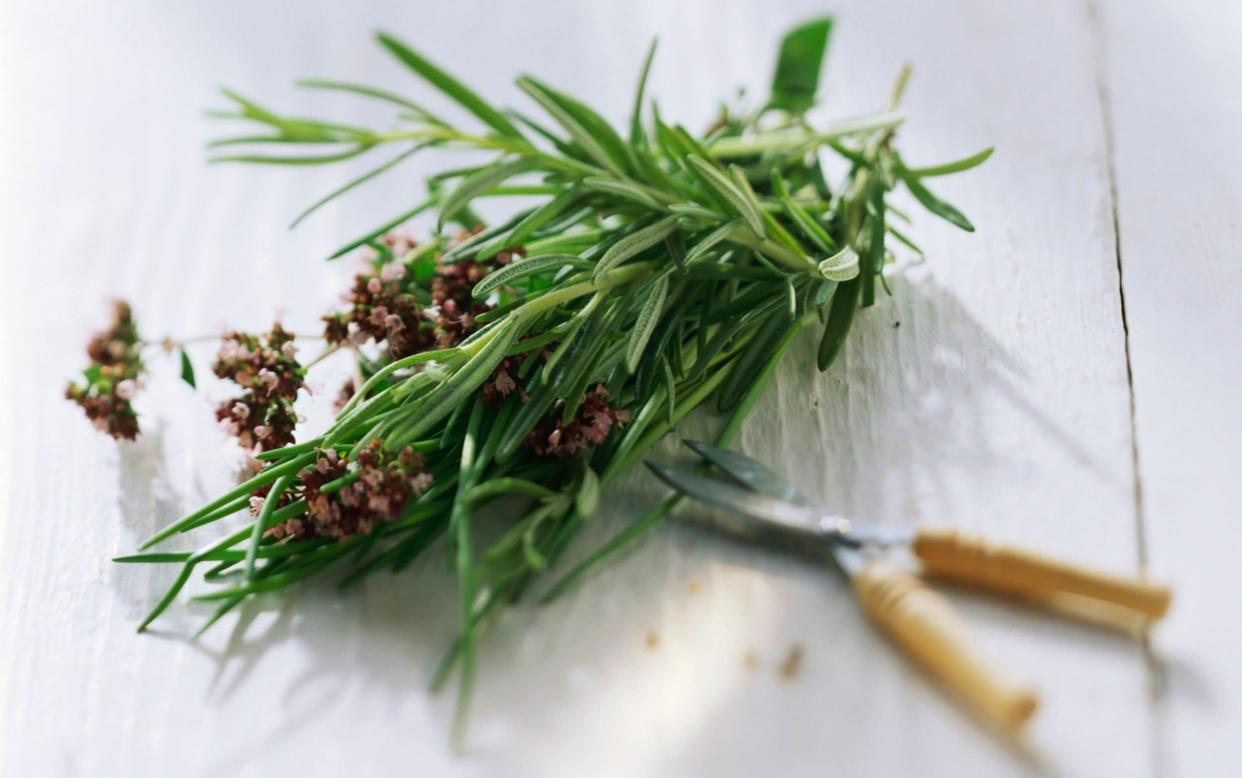 Studies suggest rosemary could boost brain power - Alamy