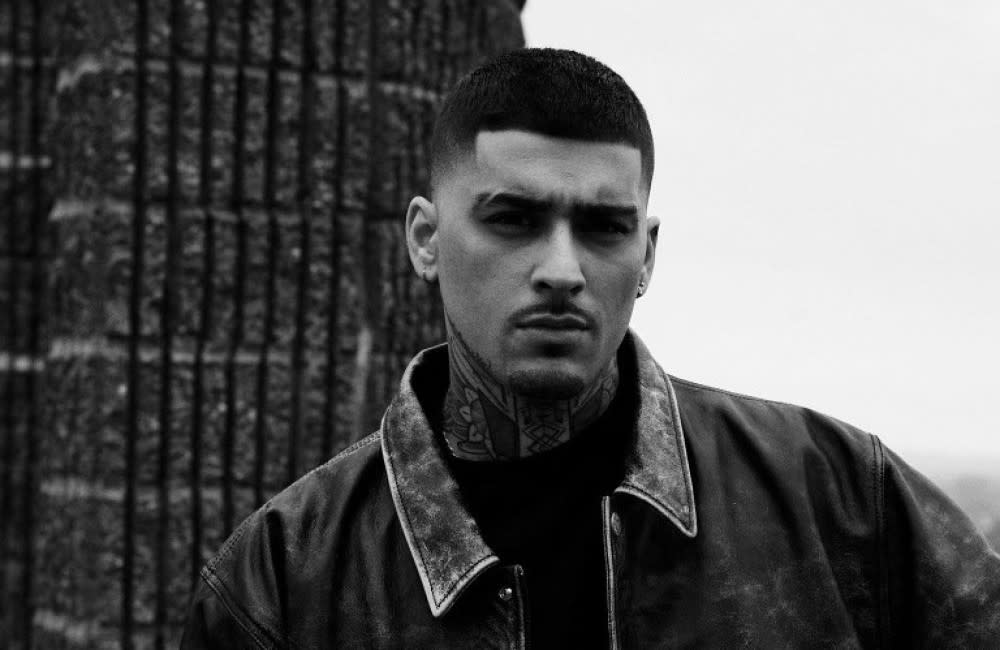 Zayn Malik is the latest star to become a Hopefield Animal Sanctuary spokesperson credit:Bang Showbiz