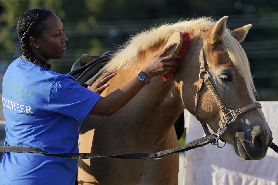 Dionne Williamson, of Patuxent River, Md., grooms Woody before her riding lesson at Cloverleaf Equine Center in Clifton, Va., Tuesday, Sept. 13, 2022. After finishing a tour in Afghanistan in 2013, Williamson felt emotionally numb. She eventually found stability through a monthlong hospitalization and a therapeutic program that incorporates horseback riding. But she had to fight for years to get the help she needed. “It's a wonder how I made it through,” she said. (AP Photo/Susan Walsh)