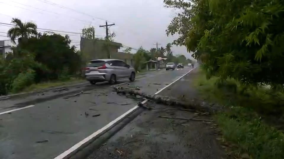 Strong winds knock down a tree in Cagayan province in the Philippines on July 25, 2023. - CNN Philippines