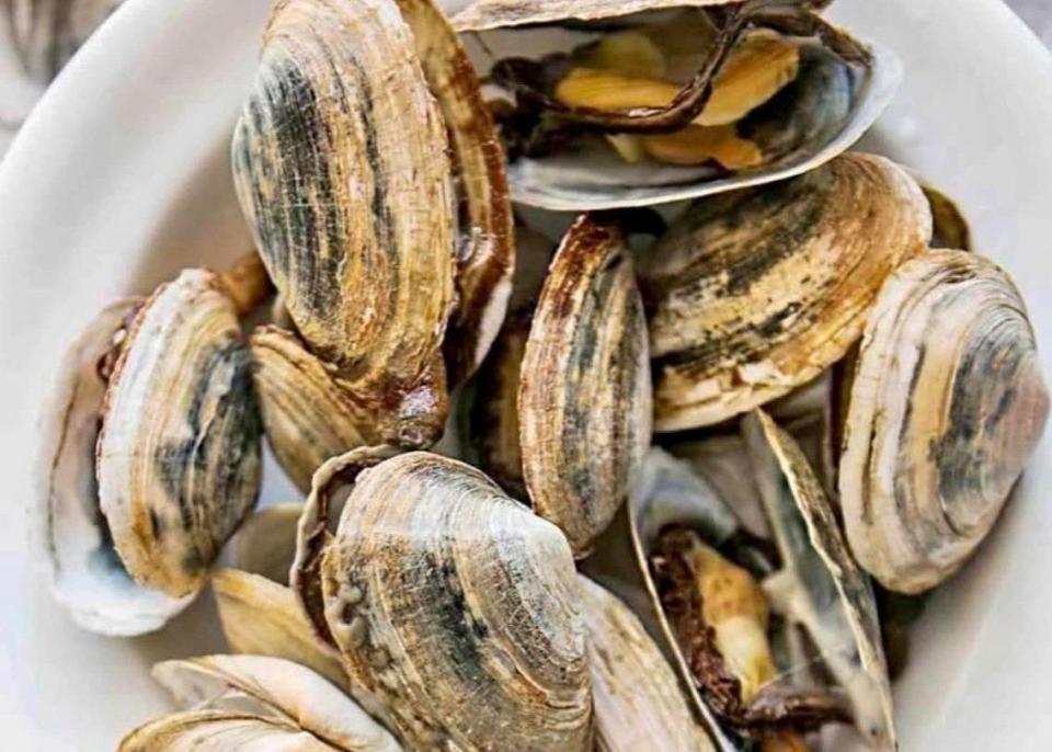 Steamers are back and perfect to enjoy in the outdoor dining area at Doyle's Pub & Grill,  956 Washington St., Easton.