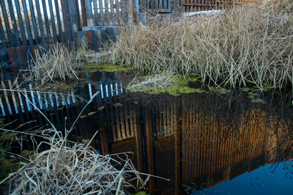 The border wall is reflected in the San Bernardino River, which flows to wetlands south of the border.