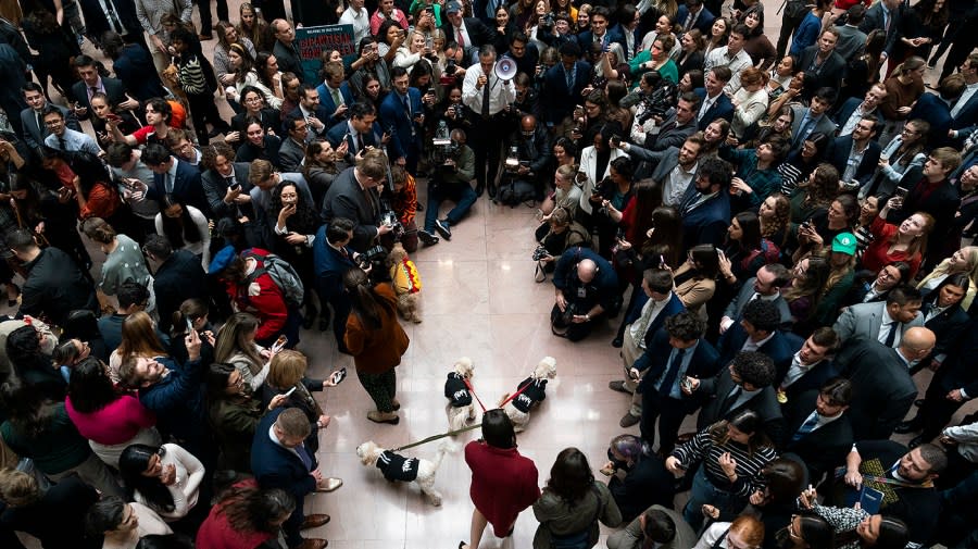 Sen. Mitt Romney (R-Utah) hosts the Bipawtisan Howl-o-ween Dog Pawrade in the Hart Senate Office Building