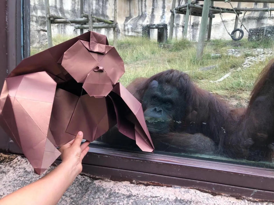 「紙上動物園」於7/19至7/31舉辦並提供DIY體驗。（圖／高雄市觀光局提供）