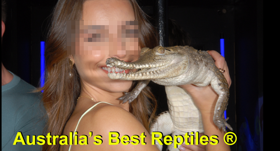 A woman posing with a crocodile.