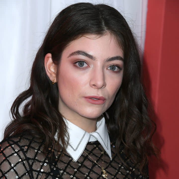 Lorde on the red carpet