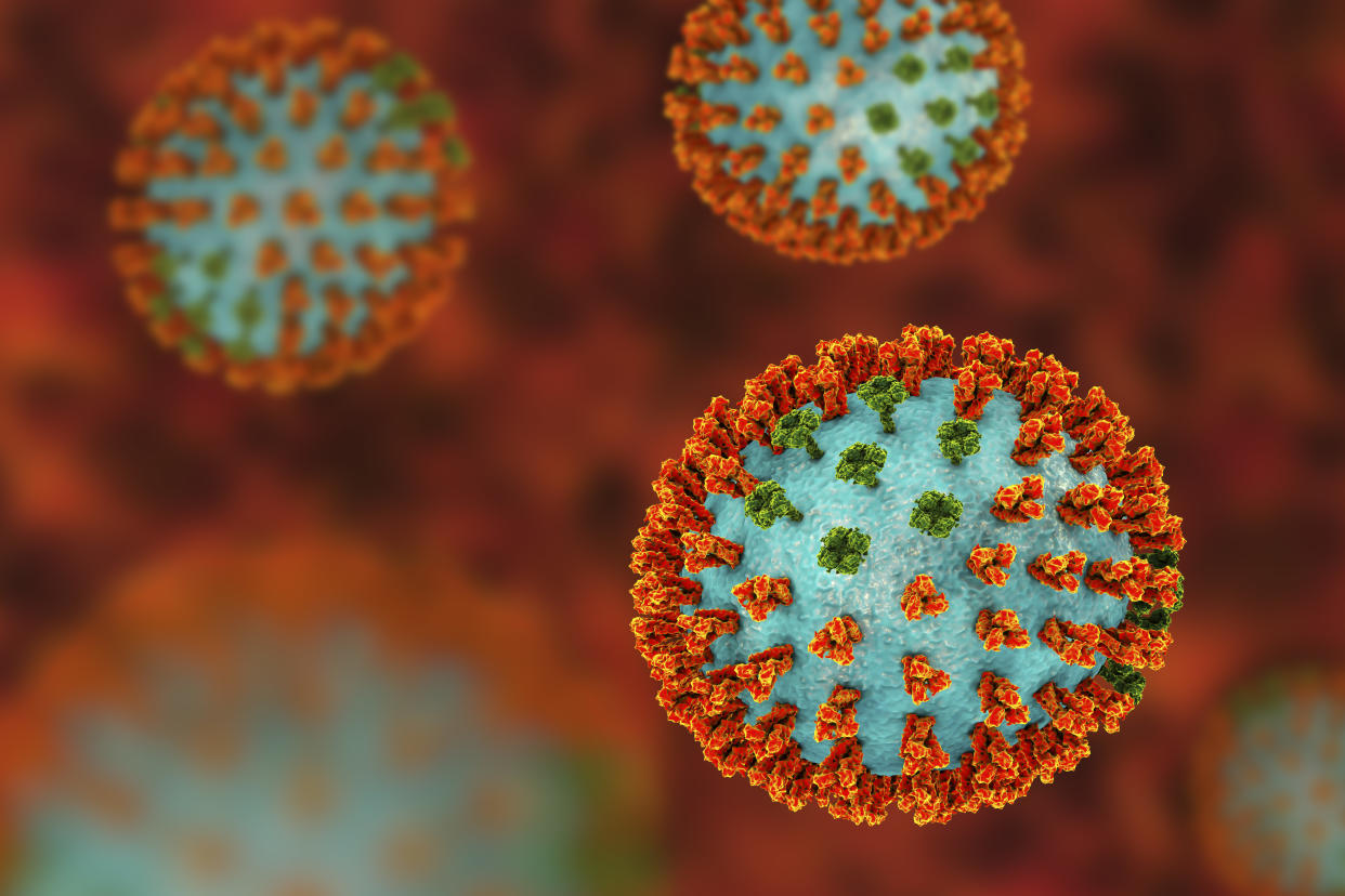 Influenza virus H3N2 strain. 3D illustration showing surface glycoprotein spikes hemagglutinin (orange) and neuraminidase (green) on an influenza (flu) virus particle. Haemagglutinin plays a role in attachment of the virus to human respiratory cells. Neuraminidase plays a role in releasing newly formed virus particles from an infected cell. H3N2 viruses are able to infect birds and mammals as well as humans. They often cause more severe infections in the young and elderly than other flu strains and can lead to increases in hospitalisations and deaths.