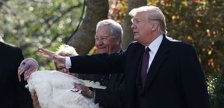 U.S. President Donald Trump participates in a turkey pardoning event as one of the two candidate turkeys Peas stands on a table at the Rose Garden of the White House November 20, 2018 in Washington, DC.