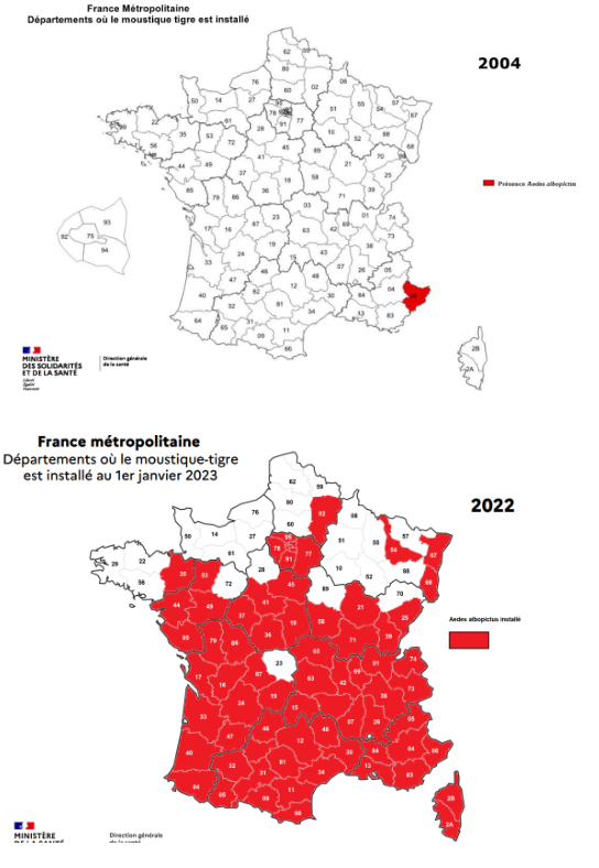La progression du moustique dans les départements français de 2004 à janvier 2023. 