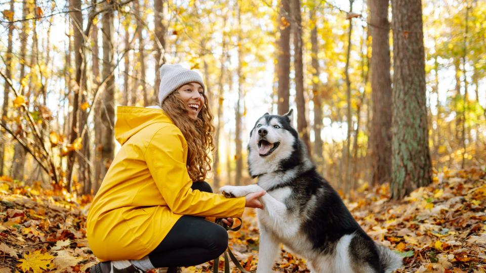 Siberian husky and owner in the woods