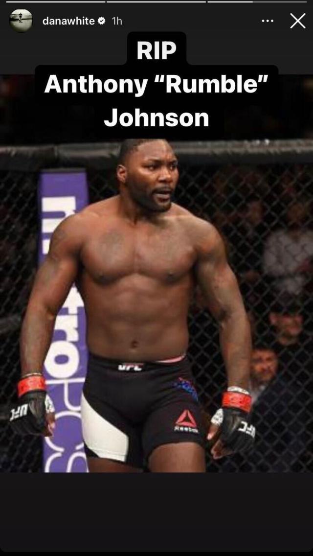 Anthony 'Rumble' Johnson: American MMA fighter dies at 38 from undisclosed  illness, fighters 