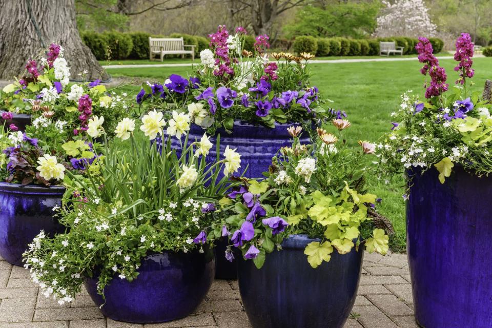 container gardening ideas