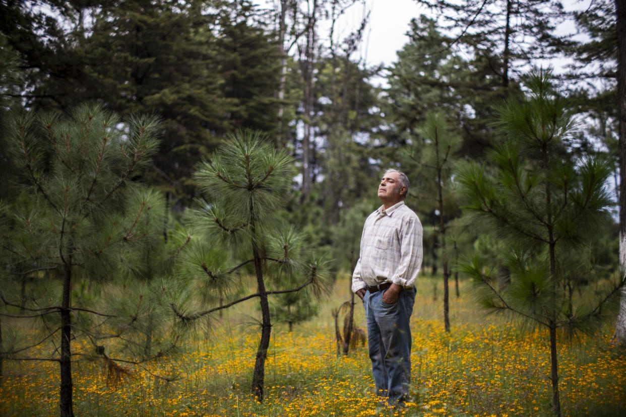 Cultivos de aguacate y reservorios de agua cercanos en Uruapan, México. Las plantas de aguacate están apareciendo en zonas que se supone están prohibidas para la tala de bosques. (Cesar Rodriguez/The New York Times)