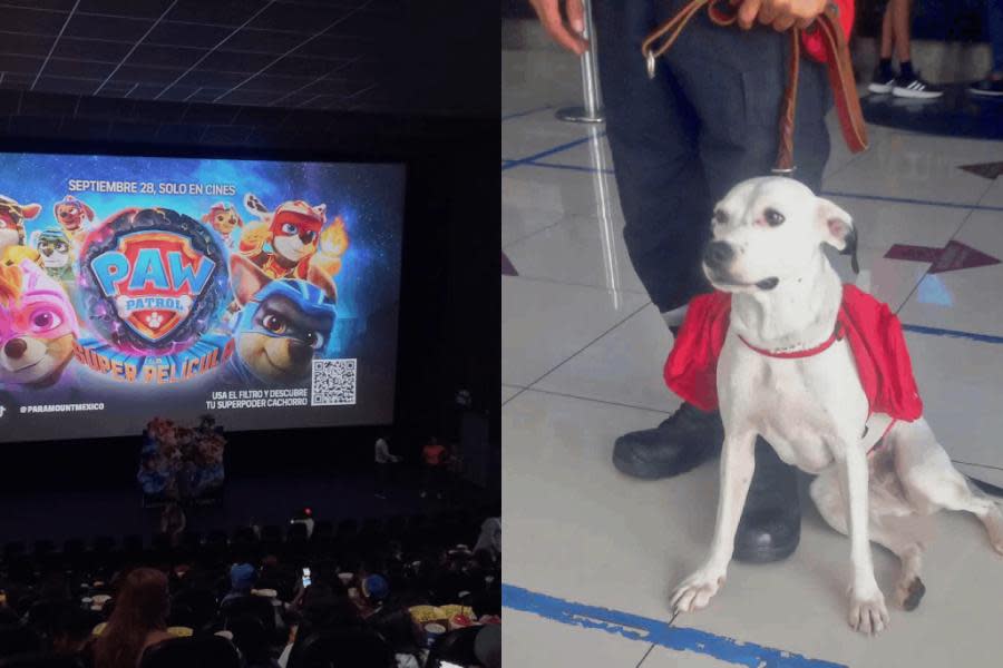 Paramount celebra perritos rescatistas con donación a Topos de Tlatelolco en estreno de Paw Patrol: La Súper Película