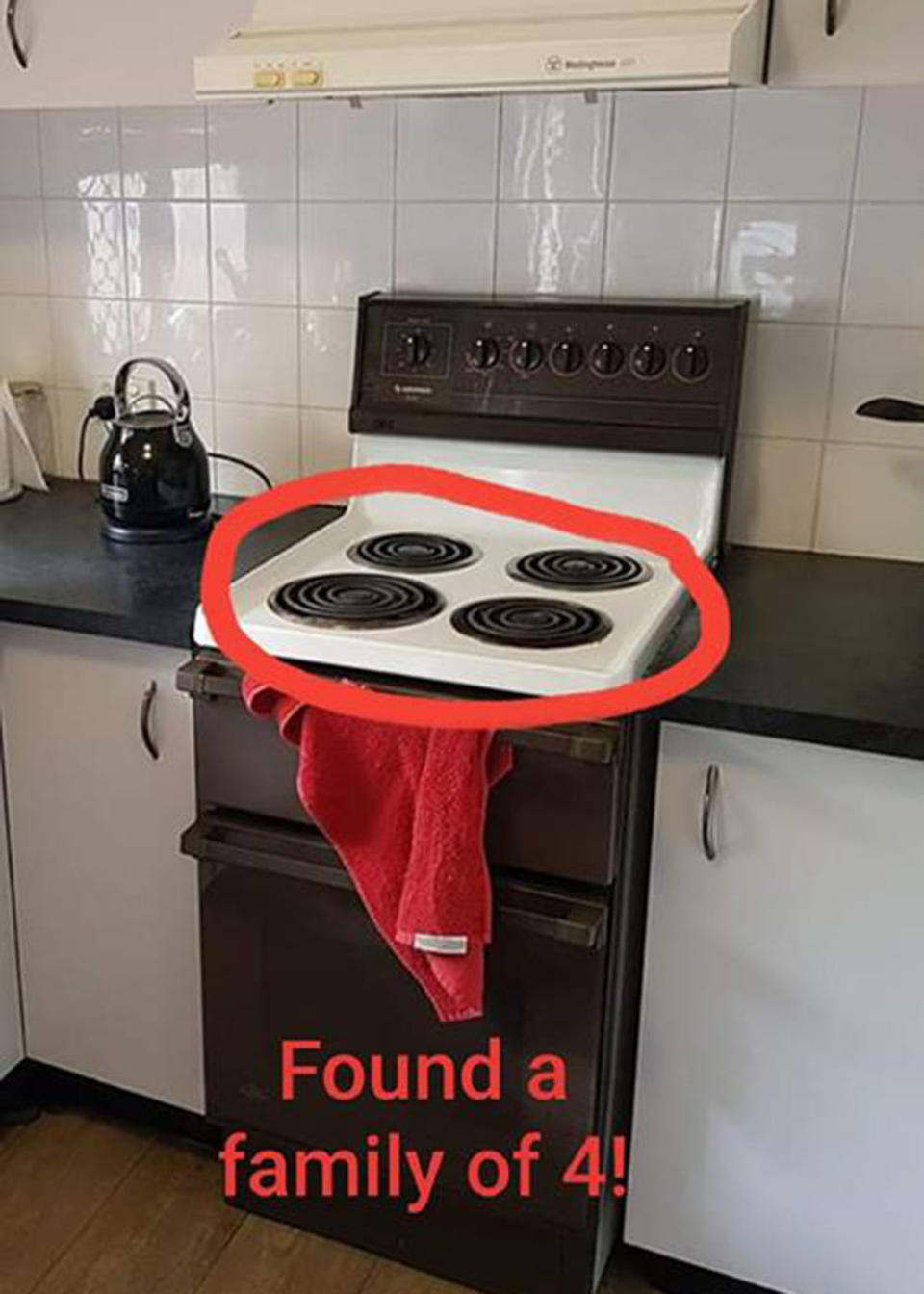 A person joked that they had spotted a family of four snakes in the kitchen. Source: Cameron Thomson/ Facebook