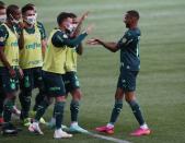 Brasileiro Championship - Palmeiras v Chapecoense