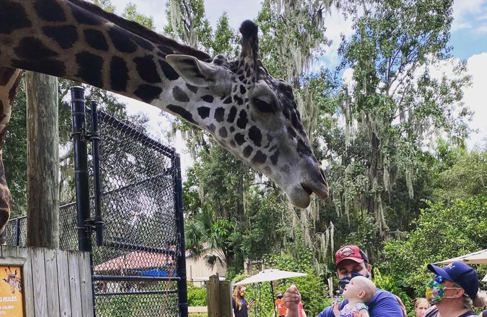 Spend the day with animals at Central Florida Zoo & Botanical Gardens.
