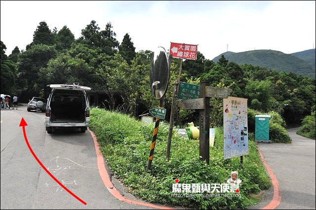 陽明山竹子湖繡球花地圖懶人包~2015/6/9花況（上篇）