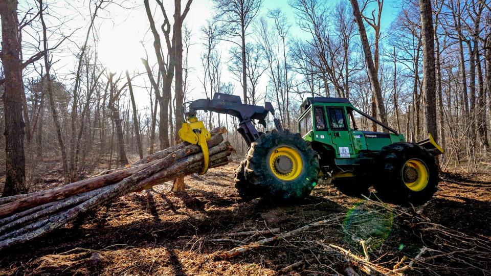 A load of felled trees is cleared out at Hillsdale Preserve, part of a trial coordinated by the University of Connecticut that’s focused on oak forests in Southern New England.