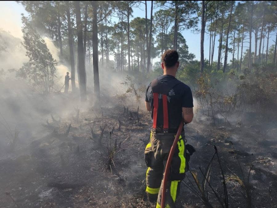 Hillsborough County Fire Rescue