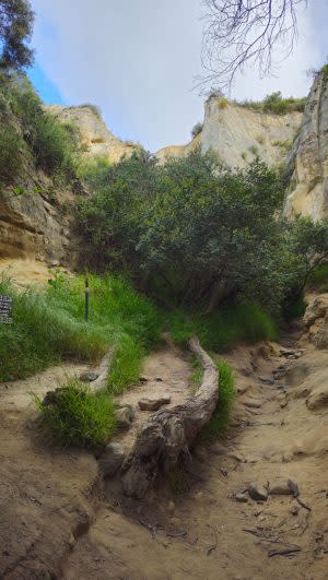 Beginning of Annie's Canyon Trail (Credit: Anna Ashcraft/FOX 5/KUSI)