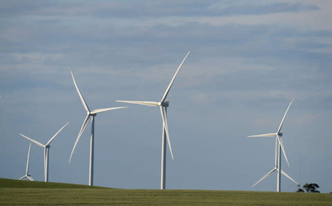 Picture shows a wind farm in Jamestown, South Australia - Credit: Carla Gottgens/Bloomberg