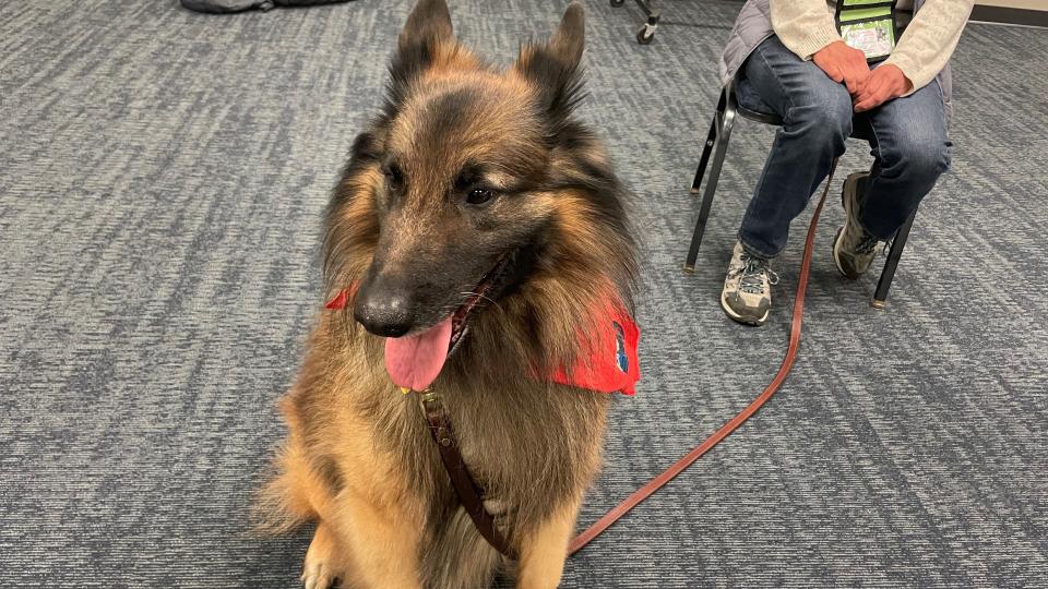 Coach, a Belgian Tervuren, and his handler Beth Lange are at the Hannah Community Center in East Lansing on Feb. 16, 2023 for their first assignment offering therapy to those affected by the recent mass shooting at Michigan State University.