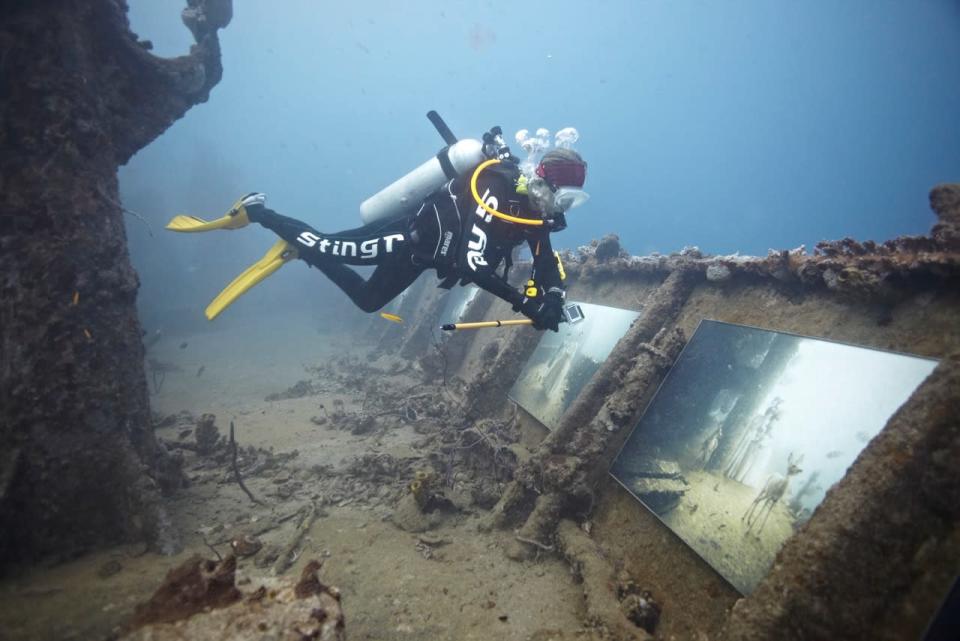 Un buzo recorre la exhibición "The Sinking World" en el naufragado barco "SS Stavornikita", en las aguas de Barbados, en el mar Caribe.