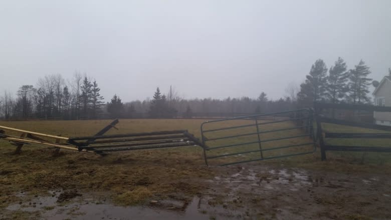 Scattered power outages remain after strong winds, rain sweep through Nova Scotia