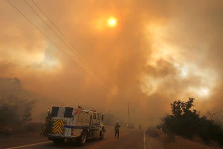 Crews battle the so-called Sand Fire in the Angeles National Forest near Los Angeles, California, U.S. July 24, 2016. REUTERS/Jonathan Alcorn