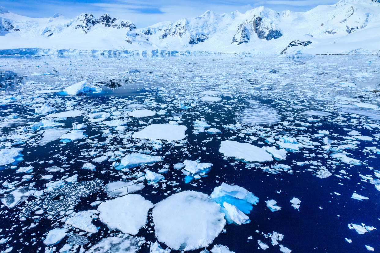 Paradise Bay is located just north of the Lemaire Strait, one of two places on the west side of the peninsula where you can easily set foot on the Antarctic Continent.